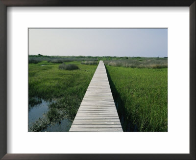 Walkway Above Wetlands by Stephen Alvarez Pricing Limited Edition Print image