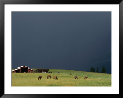 An Ominous Sky Over Horses Grazing On A Flathead Valley Ranch by Annie Griffiths Belt Pricing Limited Edition Print image