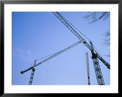 Construction Cranes Stand Against A Clear Blue Sky by Stephen Alvarez Pricing Limited Edition Print image