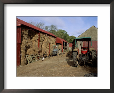 A Farm, Near Avoca, County Wicklow, Leinster, Eire (Republic Of Ireland) by Michael Short Pricing Limited Edition Print image