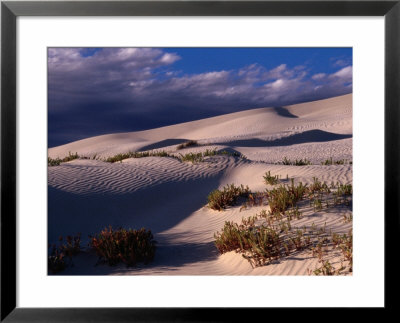 Dunes Of The Great Australian Bight, Australia by Diana Mayfield Pricing Limited Edition Print image