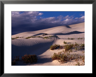 Dunes Of The Great Australian Bight, Australia by Diana Mayfield Pricing Limited Edition Print image
