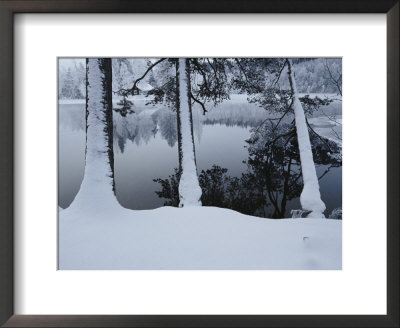 Winter In The Countryside by Mattias Klum Pricing Limited Edition Print image