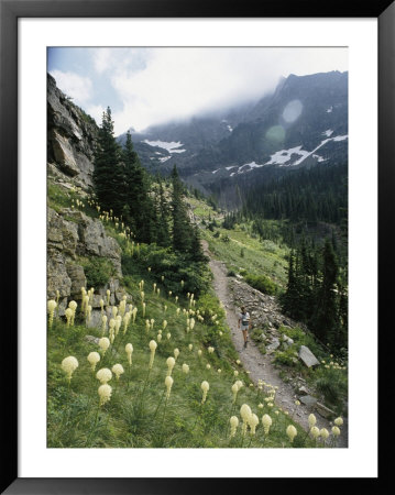 Woman Hiking On Sperry Chalet Trail, Glacier National Park, Montana by Skip Brown Pricing Limited Edition Print image