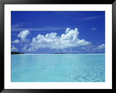 Tropical Scene, Maldives by Volvox Pricing Limited Edition Print image