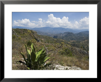 Landscape Near Hierve El Agua, Oaxaca, Mexico, North America by R H Productions Pricing Limited Edition Print image