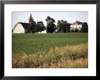 Cornfarm, Hudson, Illinois, Midwest, Usa by Ken Gillham Pricing Limited Edition Print image