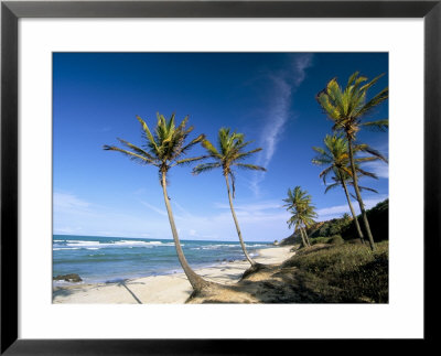 Praia Do Amor, Pipa (Natal), Rio Grande Do Norte State, Brazil, South America by Sergio Pitamitz Pricing Limited Edition Print image