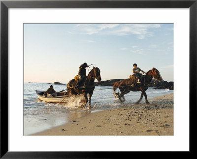 Horses Dragging A Fishing Boat Up The Beach, Horcon, Chile, South America by Mark Chivers Pricing Limited Edition Print image