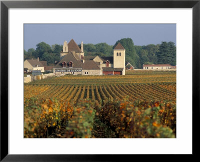 Vineyards On The Route De Grands Crus, Cote D'or, Burgundy, France by Brigitte Bott Pricing Limited Edition Print image