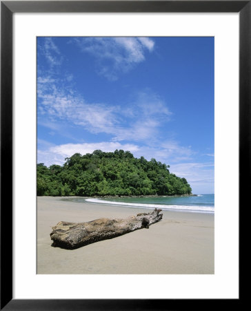 Driftwood On A Tropical Beach Bordered By Rain Forest by Mattias Klum Pricing Limited Edition Print image