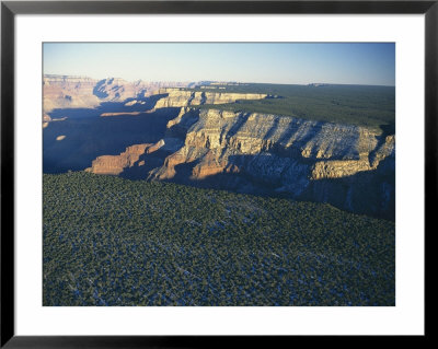Aerial View Of Kaibab National Forest At The Grand Canyon Rim by Norbert Rosing Pricing Limited Edition Print image