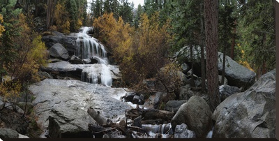 Forest Waterfall by Boris Kuperschmidt Pricing Limited Edition Print image