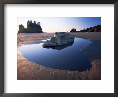 Second Beach, Olympic National Park, Unesco World Heritage Site, Washington State, Usa by Colin Brynn Pricing Limited Edition Print image