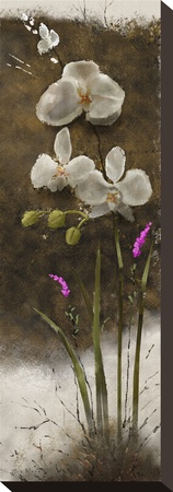 Orchid I by Rick Novak Pricing Limited Edition Print image
