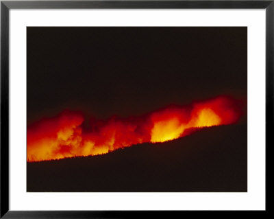 Flames From A Forest Fire Lick The Skyline by Michael S. Quinton Pricing Limited Edition Print image