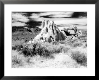 Granite Formation, Joshua Tree National Park, California, Usa by Janell Davidson Pricing Limited Edition Print image
