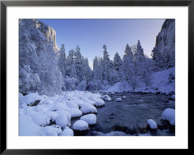 Fresh Snow Fallen On Trees Near Stream by Kyle Krause Pricing Limited Edition Print image