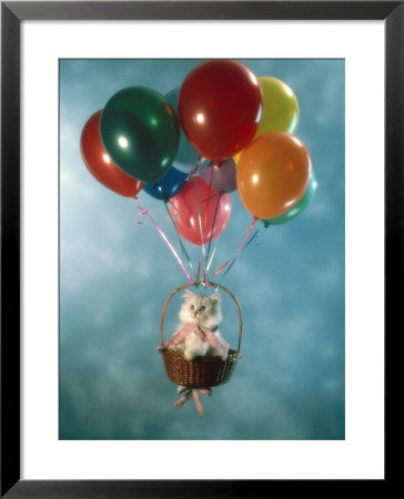 Kitten In Basket Carried By Balloons by Richard Stacks Pricing Limited Edition Print image