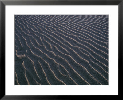 Alternating Sunlight And Shadows Enhance Contoured Patterns In A Sand Dune by David Boyer Pricing Limited Edition Print image
