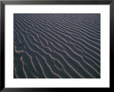 Alternating Sunlight And Shadows Enhance Contoured Patterns In A Sand Dune by David Boyer Pricing Limited Edition Print image