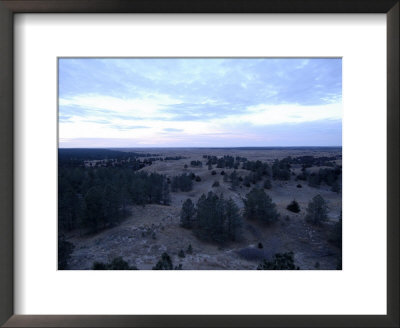 Nebraska National Forest, The Largest Hand-Planted Forest In The U. S. by Joel Sartore Pricing Limited Edition Print image