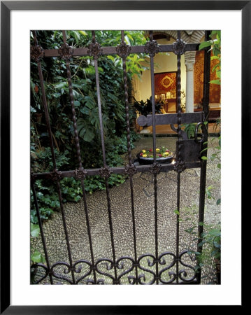 Iron Gate Screens Patio Courtyard, Cordoba, Spain by John & Lisa Merrill Pricing Limited Edition Print image