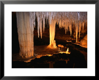 Limestone Formation In Lake Cave, Margaret River, Australia by Wayne Walton Pricing Limited Edition Print image