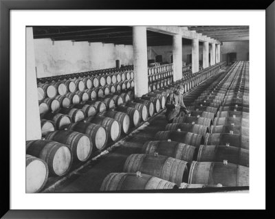 Cellar Of Maturing Wines As Wine Maker Tests With Pipette by Carlo Bavagnoli Pricing Limited Edition Print image
