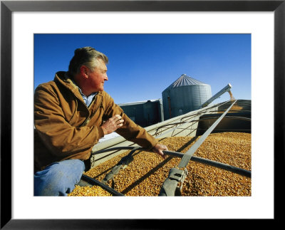 A Farmer Watches As His Corn Is Augered Into A Grain Truck by Joel Sartore Pricing Limited Edition Print image