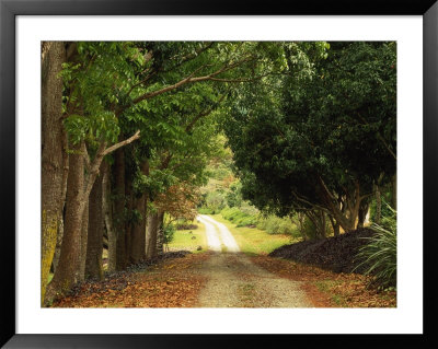 Garden Of The Sleeping Giant, Nadi, Viti Levu by Walter Bibikow Pricing Limited Edition Print image