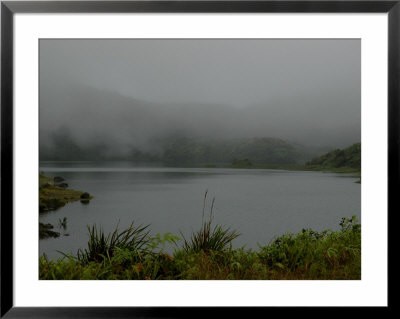 Fog Clearing From A Lake In A Rain Forest by Todd Gipstein Pricing Limited Edition Print image