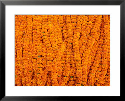Marigolds For Sale At Flower Market Below Howrah Bridge, Kolkata, India by Richard I'anson Pricing Limited Edition Print image