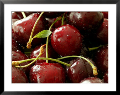 Cherry, Close-Up Of Red Fruits With Stalks And Covered In Water Drops by Susie Mccaffrey Pricing Limited Edition Print image
