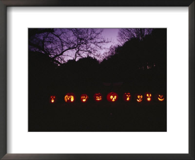 A Row Of Jack-O-Lanterns Illuminated On An Autumn Evening by Bill Curtsinger Pricing Limited Edition Print image