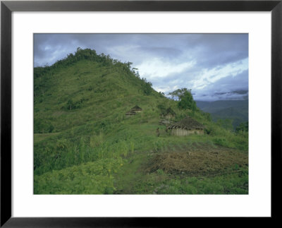 Yali Village, Irian Jaya (West Irian) (Irian Barat), New Guinea, Indonesia by Jane Sweeney Pricing Limited Edition Print image