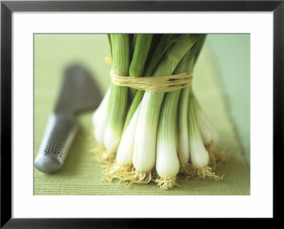 A Bunch Of Spring Onions by Michael Paul Pricing Limited Edition Print image