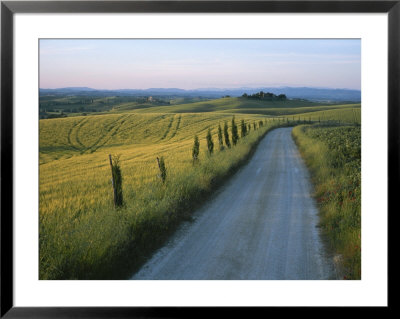 Sunset View Of A Gravel Road Winding Through The Tuscan Countryside by Taylor S. Kennedy Pricing Limited Edition Print image