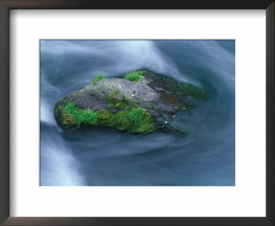 Inaka River, Tochigi, Japan by Rob Tilley Pricing Limited Edition Print image
