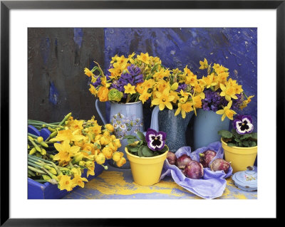 Spring Still Life With Blue Jugs Of Narcissus (Daffodil) by Linda Burgess Pricing Limited Edition Print image