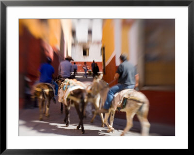 Men Transporting Wares On Donkeys, Guanajuato, Mexico by Julie Eggers Pricing Limited Edition Print image