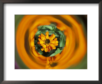 Circle Of Color In Mylar, Sammamish, Washington, Usa by Darrell Gulin Pricing Limited Edition Print image