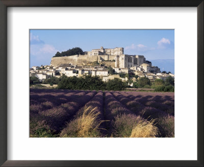 Grignan Chateau And Leavender Field, Grignan, Drome, Rhone Alpes, France by Charles Bowman Pricing Limited Edition Print image