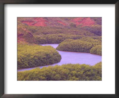 Menehune Fisk Pond, Hulea National Wildlife Refuge, Kauai, Hawaii, Usa by Terry Eggers Pricing Limited Edition Print image