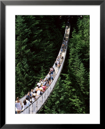 The Capilano Suspension Bridge, Vancouver, British Columbia (B.C.), Canada, North America by Ruth Tomlinson Pricing Limited Edition Print image