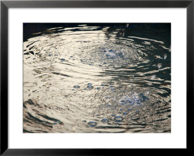 Water Drops I by Nicole Katano Pricing Limited Edition Print image