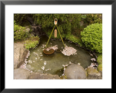 Cherry Blossom Petals In Water Fountain, Kamakura City, Kanagawa Prefecture, Honshu Island, Japan by Christian Kober Pricing Limited Edition Print image