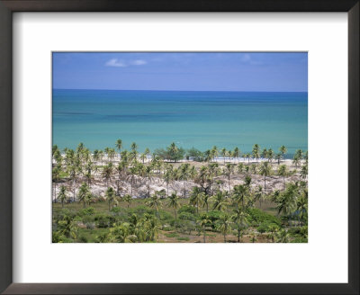Palm Trees On Sand Dunes, Pitangui, Natal, Rio Grande Do Norte State, Brazil, South America by Sergio Pitamitz Pricing Limited Edition Print image