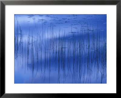 Water Patterns On Deadman Lake, Tetlin National Wildlife Refuge, Alaska, Usa by Jerry & Marcy Monkman Pricing Limited Edition Print image