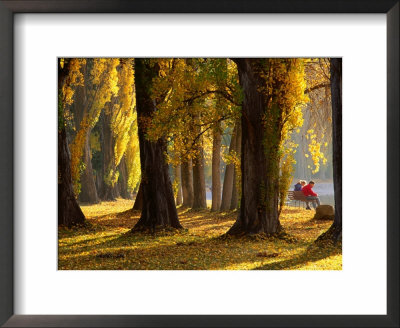 Couple Sitting On Bench In Autumn, Lake Wanaka, Wanaka, New Zealand by Oliver Strewe Pricing Limited Edition Print image